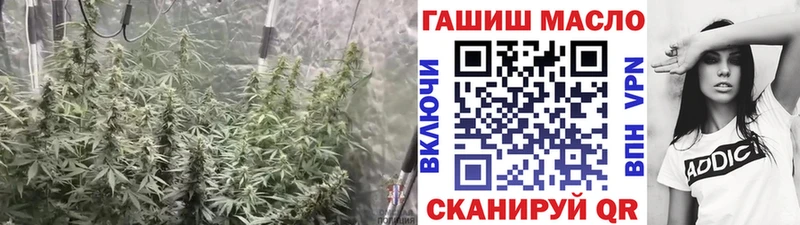 ТГК гашишное масло мега как зайти Мышкин